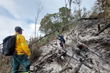 Así quedó el terreno luego del incendio forestal en Aranzazu.