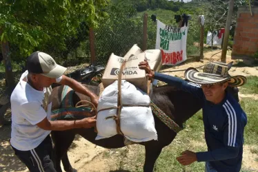 Atienden a 282 familias desplazadas en Segovia (Antioquia) por disputa de grupos armados