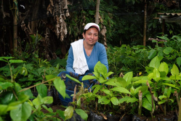 Liliana del Socorro Castañeda hace parte del proyecto Mujeres Cafeteras Sembrando Sostenibilidad. En su sexta etapa, esta iniciativa prevé sembrar 87 mil 500 árboles hasta marzo del 2024.