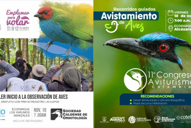 Dos actividades para aprender sobre observación aves en los ecoparques de Manizales