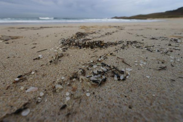 Se estima que hay entre cinco y 50 mil millones de microplásticos en el mar.