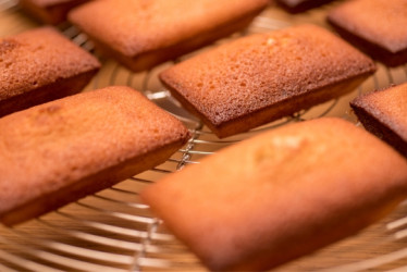 Varios financiers en un plato dorado.