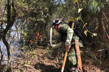 Un grupo de soldados trabaja en la extinción del incendio forestal activo en los Cerros Orientales de Bogotá. 