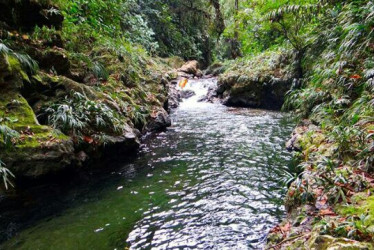 Fuente de agua