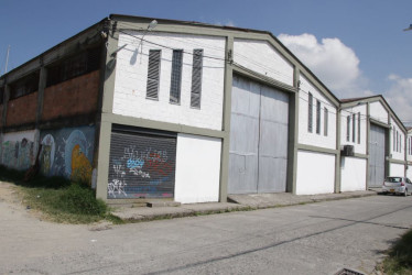 Color Siete creció con el liderazgo de marcas como Rosé Pistol, Rosé Pistol Kids y Jack Supplies.