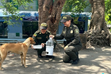 Los policías instalaron los bebederos en distintos puntos de La Dorada, con la colaboración de comerciantes.