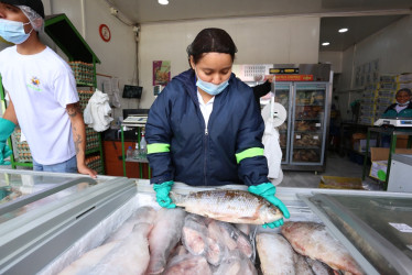 Foto | Luis Fernando Trejos | LA PATRIA  La abstinencia de carnes rojas durante los viernes de Cuaresma abrió una ventana de oportunidades para el huevo, el pollo y el pescado, según comerciantes de estos alimentos.