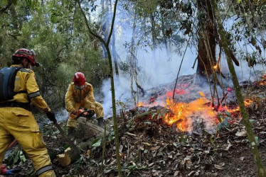 Esta fue una zona afectada por el incendio.