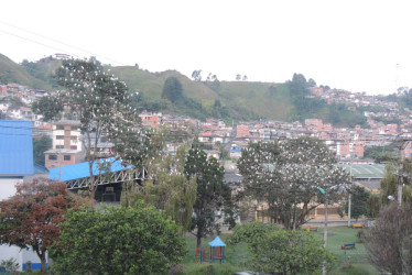 Foto | Jorge Iván Castaño | LA PATRIA En los árboles de las zonas verdes y alrededores del Parque Los Caparros están las garzas.