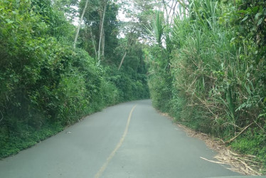 El pasto crece a los costados reduciendo el espacio de la carretera. Secretaría de Infraestructura de Caldas dice que intervendrá.