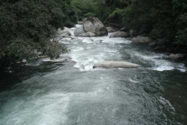 El río La Miel desemboca en El Magdalena y durante su travesía se pueden encontrar rápidos, caídas de agua y pozos.