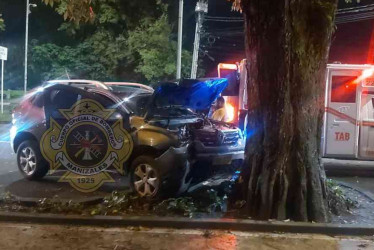 El choque de la camioneta contra el árbol.