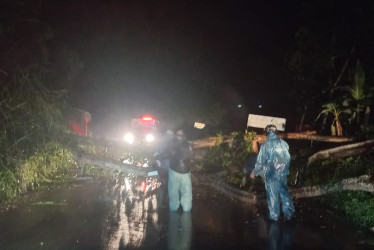 Árbol cayó sobre la vía a la vereda Manzanares (Manizales).