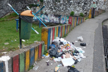 Las bolsas de basura son rasgadas expandiendo malos olores a otras zonas. Foto 