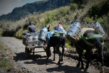 Lácteos, en camino a la recesión. Productores de leche enumeran los tres desafíos que afronta el sector: el consumo nacional está a la baja, los ingresos de los campesinos se han reducido y se acerca el fin de los aranceles a los lácteos de Estados Unidos y Europa. Aseguran que hoy no es posible competir con esas potencias.