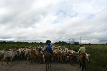 Ganadería