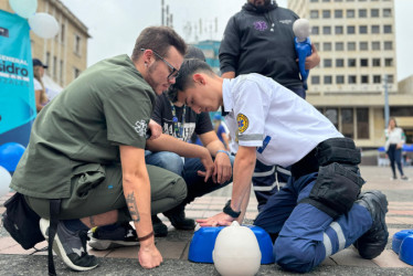 Especialistas en atención prehospitalaria y de otras áreas de la salud participaron de la jornada. Educaron en primeros auxilios.