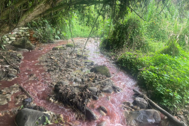 Así reportó un denunciante cómo estaba el agua de la quebrada Cristales de Manizales el martes.