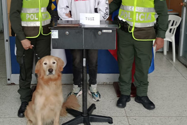 Las unidades caninas permitieron identificar a dos ciudadanos que transportaban droga.