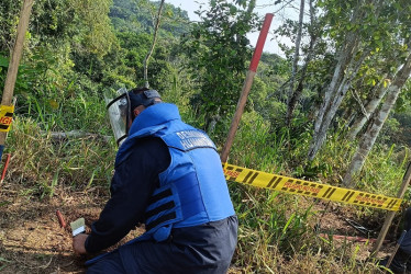 Las labores de desminado duraron cinco años en Marulanda.