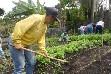 El programa espera beneficiar a unas 600 personas de 12 municipios.