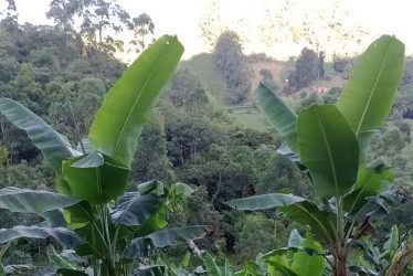 El accidente. Foto Informador de Occidente.