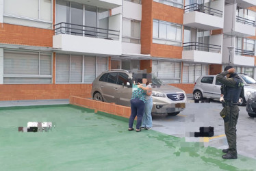 Los dos perros fallecieron por el impacto, tras ser lanzados por su dueño desde un noveno piso.