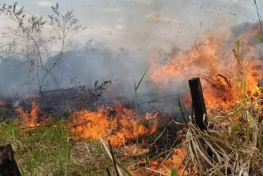 Hay alrededor de 15 incendios forestales activos en el país. En la foto, uno de los que se extienden en el Huila.