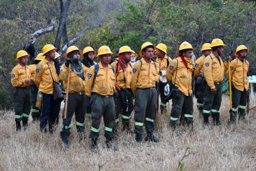 Los voluntarios atienden emergencias en Tolima, afectado por el aumento de los incendios forestales desde hace dos semanas.