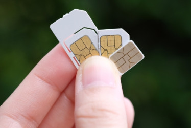 Persona sosteniendo sim cards