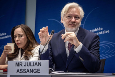 Julian Assange en el Consejo de Europa.