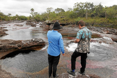 En poco más de una década, 461 defensores han sido asesinados en Colombia, país que tiene ahora el mayor número de asesinatos documentados entre 2012 y 2023, según Global Witness.