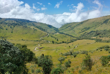 La Reserva Forestal Río Blanco es un pulmón verde para Manizales. 