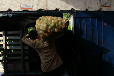 Naranjas, del surco de Caldas al mundo. Desde las montañas de Caldas, la naranja lleva su sabor al extranjero. Con cuidado campesino y tradición, supera retos para convertirse en símbolo del orgullo colombiano en mercados internacionales.