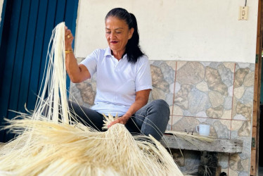 Voces de la cadena productiva: dos males tejen el fin del sombrero aguadeño. La falta de relevo generacional y la baja rentabilidad para tejedoras y ripiadores ponen en suspenso su futuro. Intentan salvar una tradición.