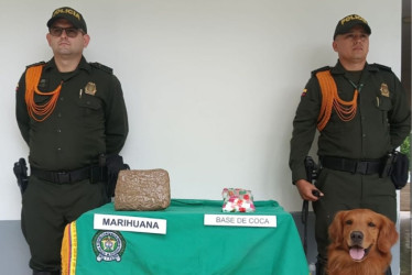 El perro Rubén halló el paquete con marihuana y cocaína que tenía como destino a Pensilvania.