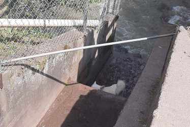 Sitio donde cayó la mascota. Fotos de Bomberos Supía.