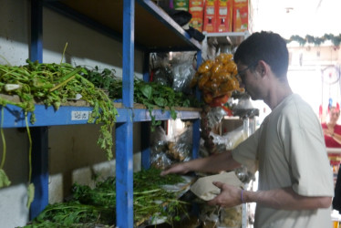 Los tenderos de hierbas dan recomendaciones para el uso de las plantas amargas y las dulces para los baños y los riegos de este 31 de diciembre.