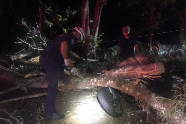 El motociclista chocó contra el árbol que cayó en la vía momentos antes.