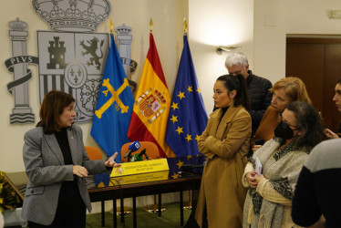  La delegada del Gobierno en Asturias, Adriana Lastra (i), atiende a la prensa este sábado para informar sobre el crimen machista de ayer en la localidad asturiana de Sama de Langreo. 