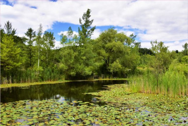 Según el Ministerio de Ambiente, en Colombia hay cerca de 48.000 humedales.