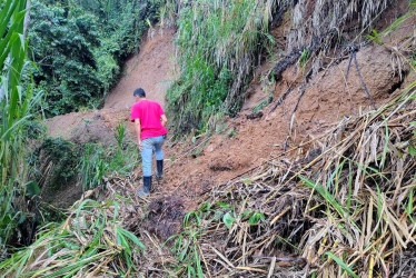 Derrumbe en la vía de la vereda Guayabalito (Salamina).