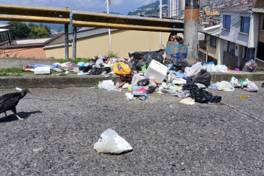 Foto | Cortesía | LA PATRIA  Los animales carroñeros ahora están rondando el sector. 