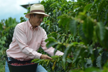 Huber Grajales Muñoz