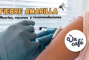 Fiebre amarilla: muertes, vacunas y recomendaciones