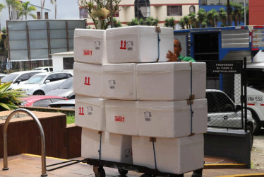 La vacuna contra la fiebre amarilla es gratuita y está disponible en todos los hospitales del departamento.