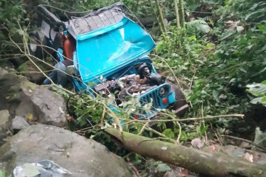 El vehículo rodó por una zona boscosa, y aunque sus ocupantes salieron por sus propios medios, debieron trasladarlos al centro médico.