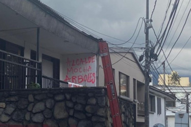 alcalde mocha árboles