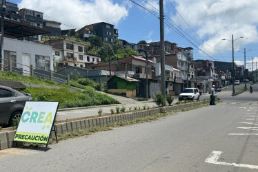 Aunque la empresa CREA esta sembrando plantas de jardín, muchas de estas se han ido desapareciendo en varios tramos.
