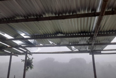 Las lluvias del martes 22 de abril, dejaron viviendas destechadas, inundaciones en calles y casas y árboles caídos en varios corregimientos de Pereira